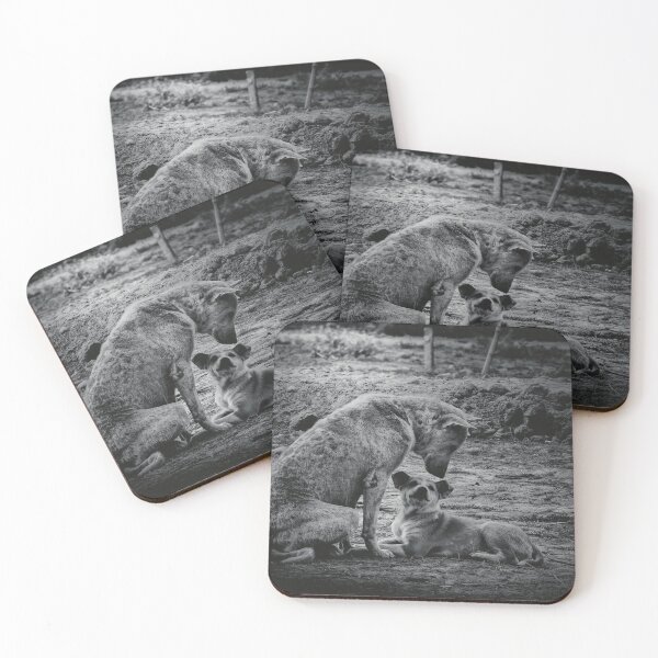 Item preview, Emotional Stray Dog Mother and Puppy Black and White Photography designed and sold by RawmenX.
