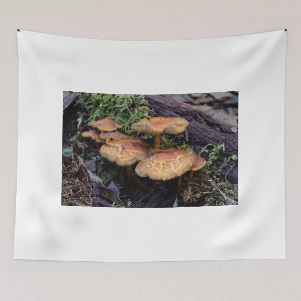 Item preview, Mushrooms designed and sold by Willscape.