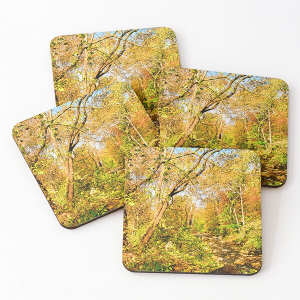 Item preview, Woodland Stream in Autumn, Montgomery County, Pennsylvania designed and sold by AMacGPhilly.