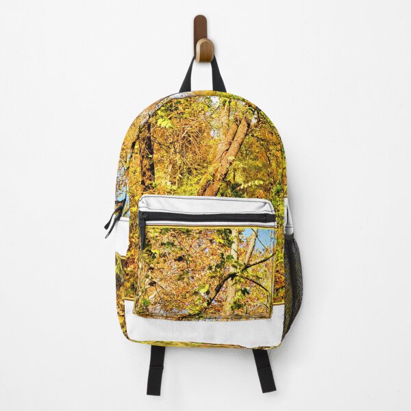 Item preview, Woodland Stream in Autumn, Montgomery County, Pennsylvania designed and sold by AMacGPhilly.