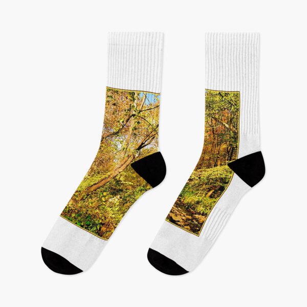 Item preview, Woodland Stream in Autumn, Montgomery County, Pennsylvania designed and sold by AMacGPhilly.
