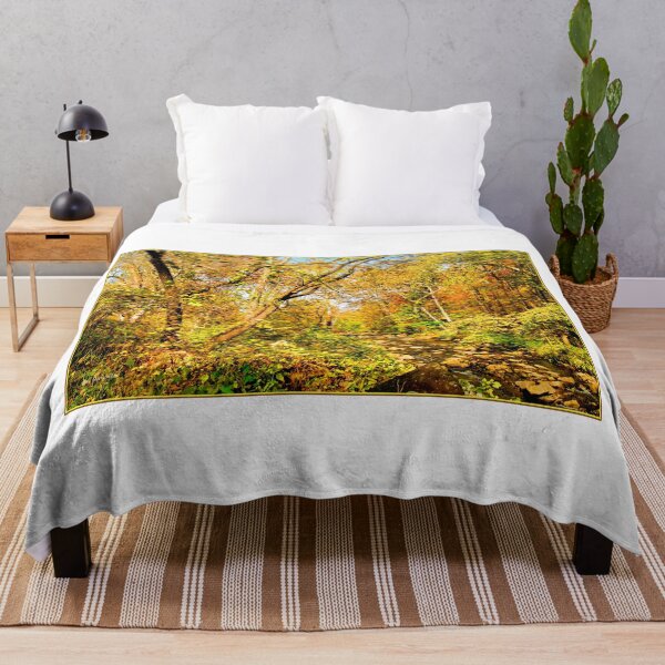 Item preview, Woodland Stream in Autumn, Montgomery County, Pennsylvania designed and sold by AMacGPhilly.