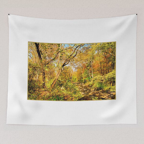 Item preview, Woodland Stream in Autumn, Montgomery County, Pennsylvania designed and sold by AMacGPhilly.
