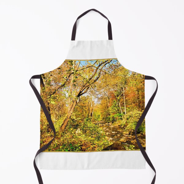 Item preview, Woodland Stream in Autumn, Montgomery County, Pennsylvania designed and sold by AMacGPhilly.