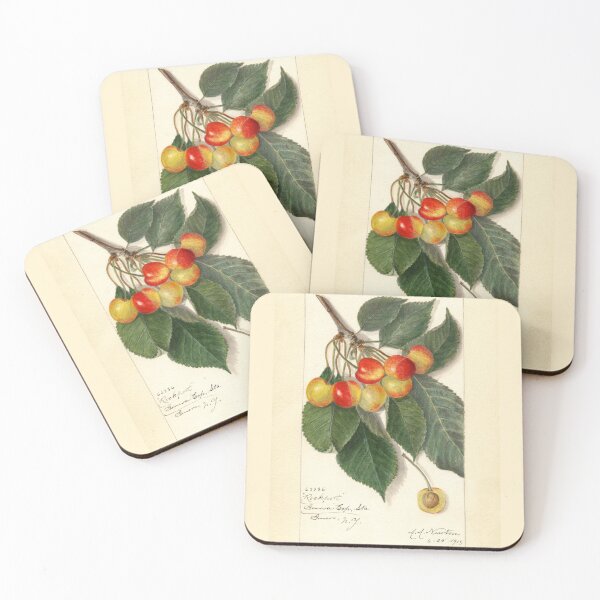 Item preview, Prunus Avium Rockport 1913 designed and sold by Glimmersmith.