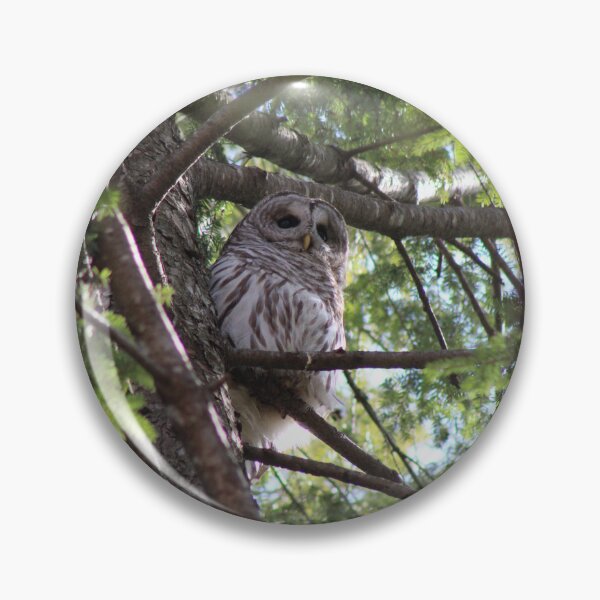 Item preview, Owl Hideaway designed and sold by FlowerFotos.