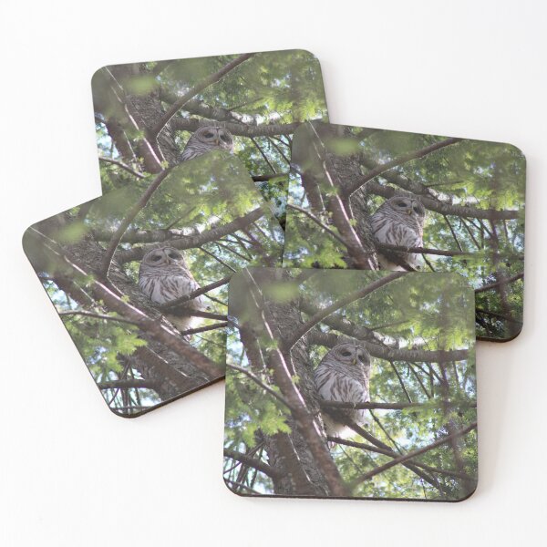 Item preview, Owl Hideaway designed and sold by FlowerFotos.