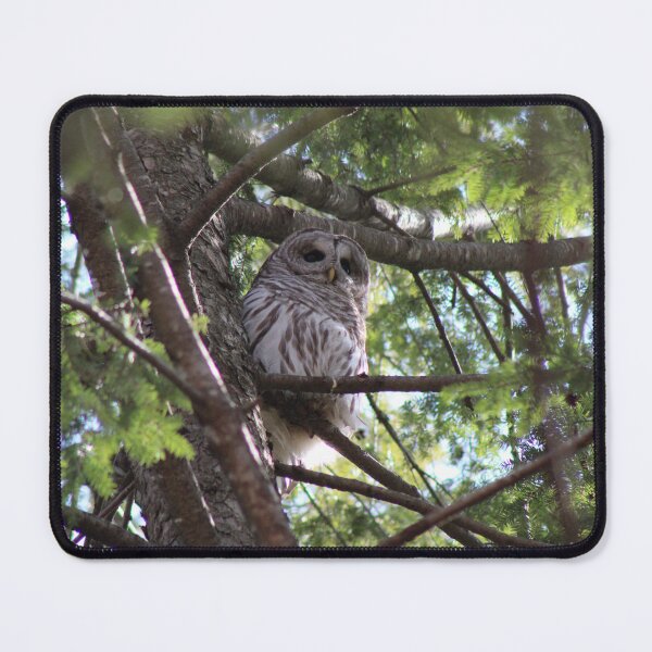 Item preview, Owl Hideaway designed and sold by FlowerFotos.