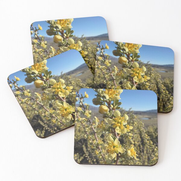 Item preview, Antelope Bitterbrush designed and sold by Betsy Phillips.