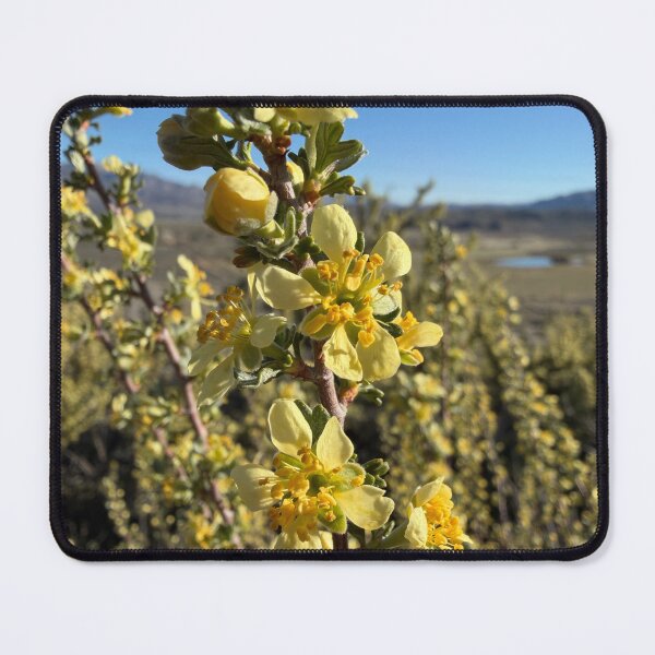 Item preview, Antelope Bitterbrush designed and sold by Betsy Phillips.