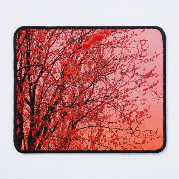 Item preview, Blossoms are coming I designed and sold by dawnsm.