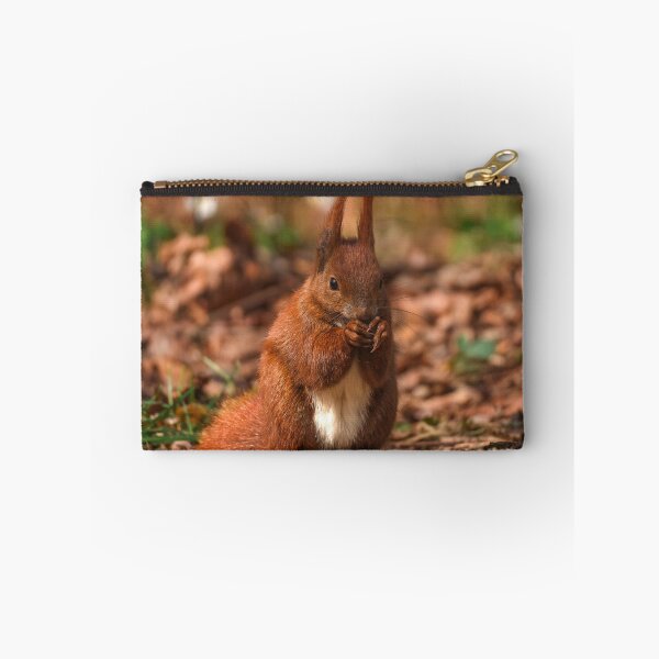 Item preview, cute squirrels designed and sold by Sanyik1.