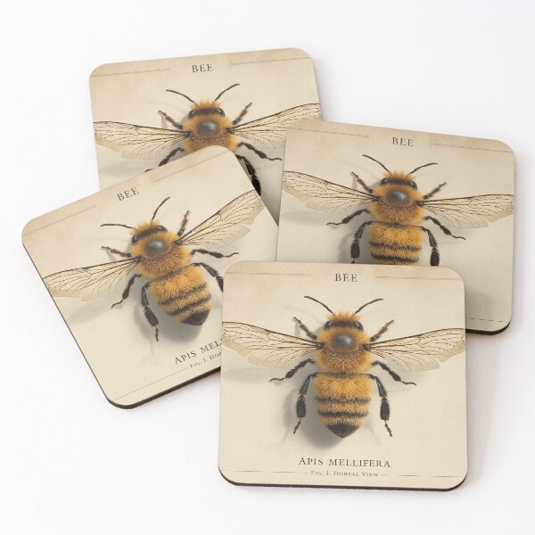Item preview, Apis Mellifera - Honey Bee Vintage Scientific Illustration designed and sold by fotoNoz.