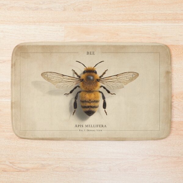 Item preview, Apis Mellifera - Honey Bee Vintage Scientific Illustration designed and sold by fotoNoz.