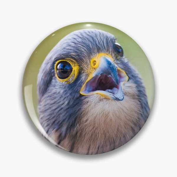 Item preview, CUTE BIRD designed and sold by Sanyik1.