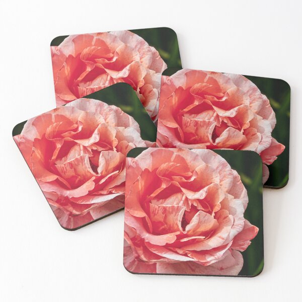 Item preview, A Rose By Any Other Name designed and sold by Eidetic Photos.