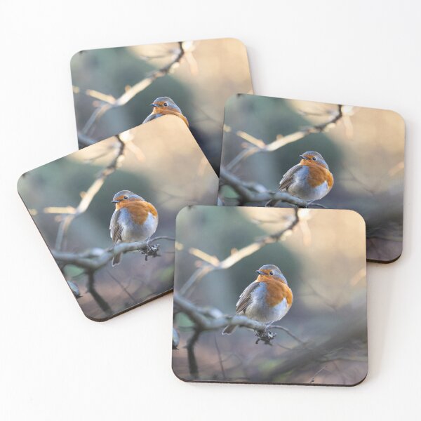 Item preview, European robin perched on a branch designed and sold by George-Farthing-Photography.