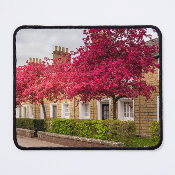 Item preview, Spring in the Railway Village - Historic Swindon Heritage designed and sold by Greysline.