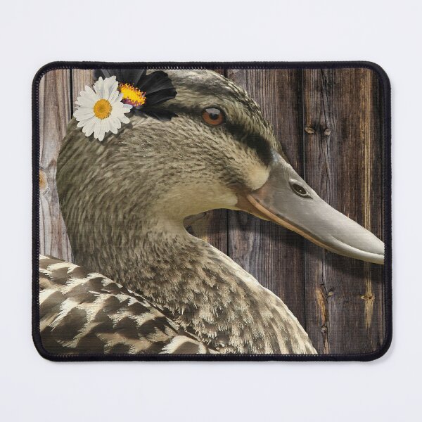Item preview, Beautiful Brown Rouen Duck Art On Country Wood designed and sold by Sharon Cummings Art.