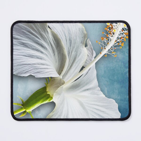 Item preview, White Hibiscus Flower Art On Tropical Botanical Blue designed and sold by Sharon Cummings Art.