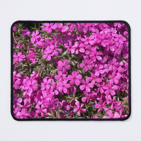 Item preview, Little Flowers designed and sold by Abeink1030.