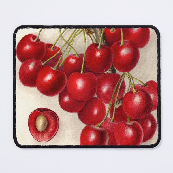 Item preview, Prunus Avium Lambert Cherries 1907 designed and sold by Glimmersmith.
