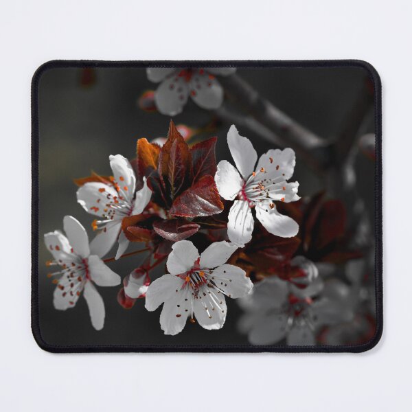 Item preview, Spring Blossoms color isolation edit designed and sold by Cblifeisgood.