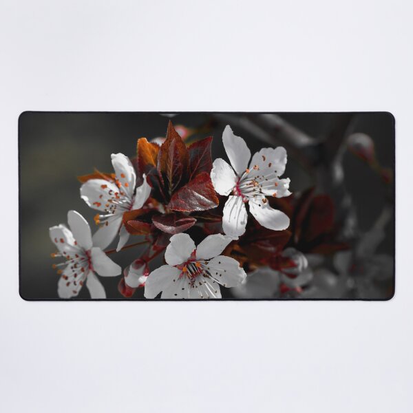 Item preview, Spring Blossoms color isolation edit designed and sold by Cblifeisgood.