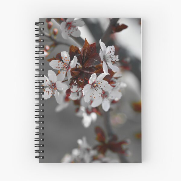 Item preview, Color isolation edit of plum blossoms  designed and sold by Cblifeisgood.
