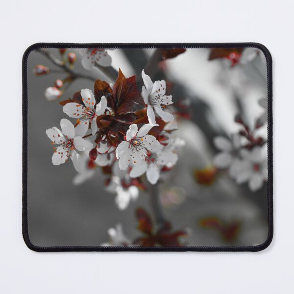 Item preview, Color isolation edit of plum blossoms  designed and sold by Cblifeisgood.