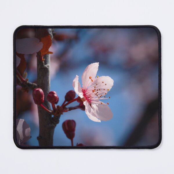 Item preview, Pink blossom  designed and sold by Cblifeisgood.