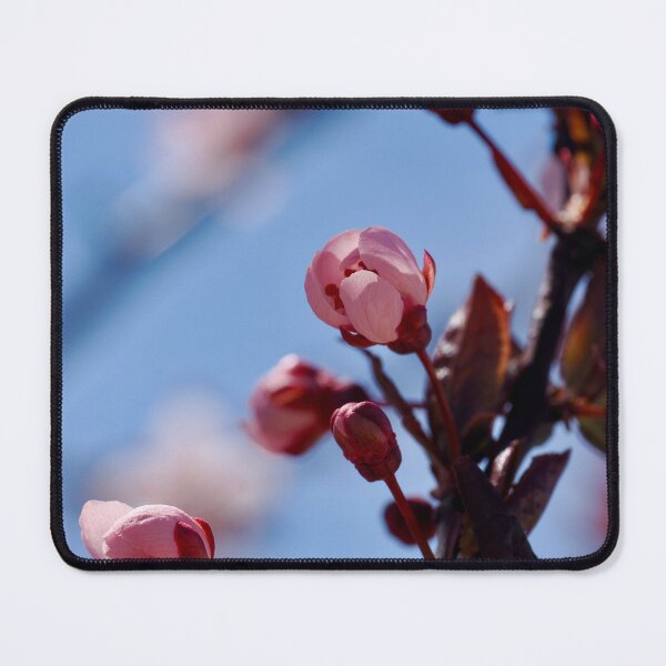 Item preview, Spring buds designed and sold by Cblifeisgood.