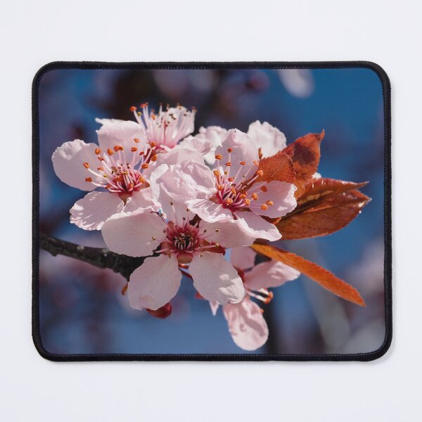 Item preview, Pink plum blossoms designed and sold by Cblifeisgood.