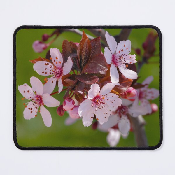 Item preview, Spring blossoms with green background  designed and sold by Cblifeisgood.