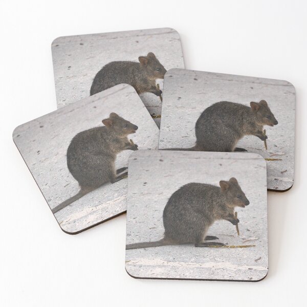 Item preview, QUOKKA in Town designed and sold by Asoka.