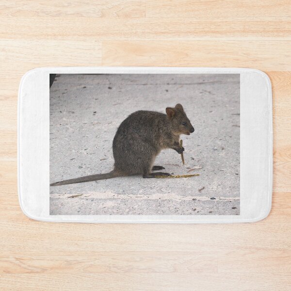 Item preview, QUOKKA in Town designed and sold by Asoka.