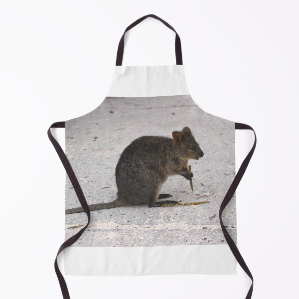 Item preview, QUOKKA in Town designed and sold by Asoka.
