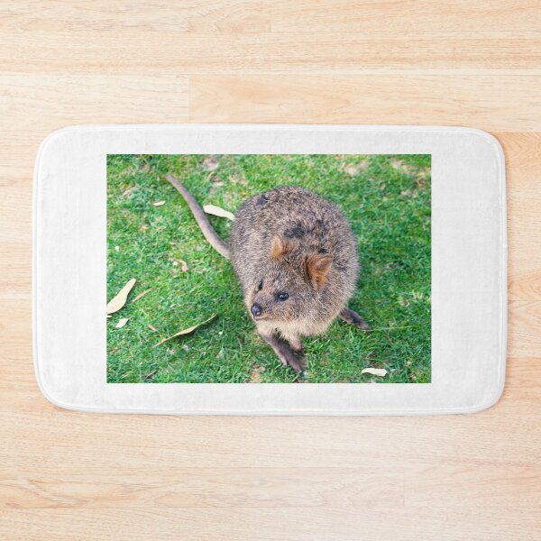 Item preview, QUOKKA  on Rottnest Island designed and sold by Asoka.