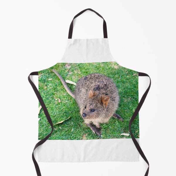 Item preview, QUOKKA on Rottnest Island designed and sold by Asoka.