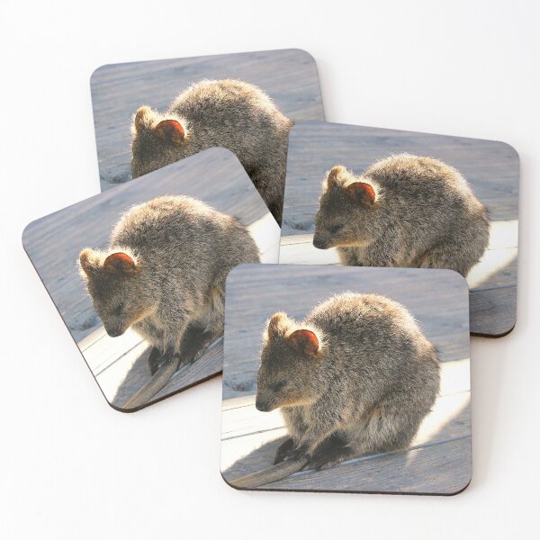 Item preview, Quokka Naptime designed and sold by Asoka.