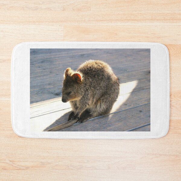 Item preview, Quokka Naptime designed and sold by Asoka.