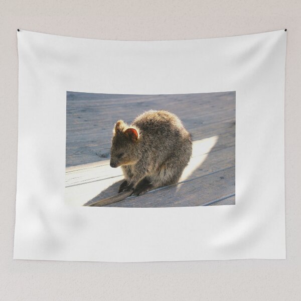 Item preview, Quokka Naptime designed and sold by Asoka.