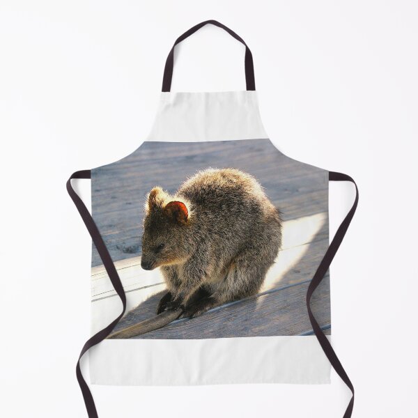 Item preview, Quokka Naptime designed and sold by Asoka.