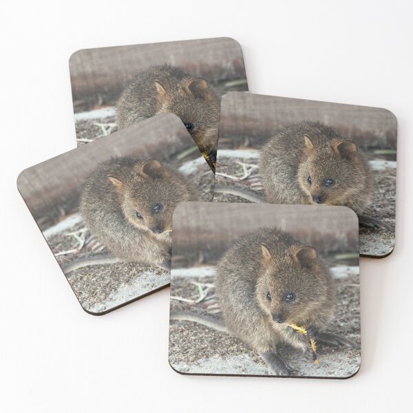 Item preview, Quokka Lunchtime designed and sold by Asoka.