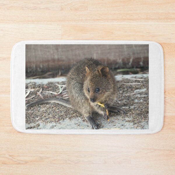 Item preview, Quokka Lunchtime designed and sold by Asoka.