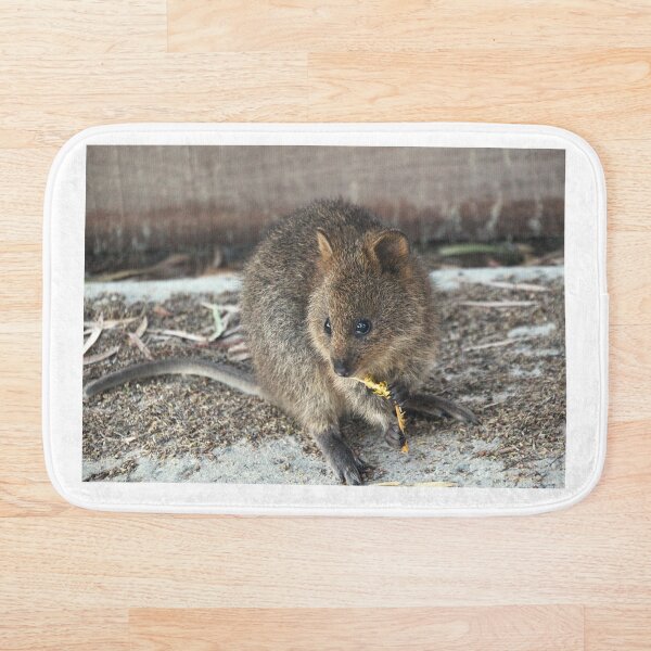 Artikelvorschau, Quokka-Mittagessen entworfen und verkauft von Asoka.
