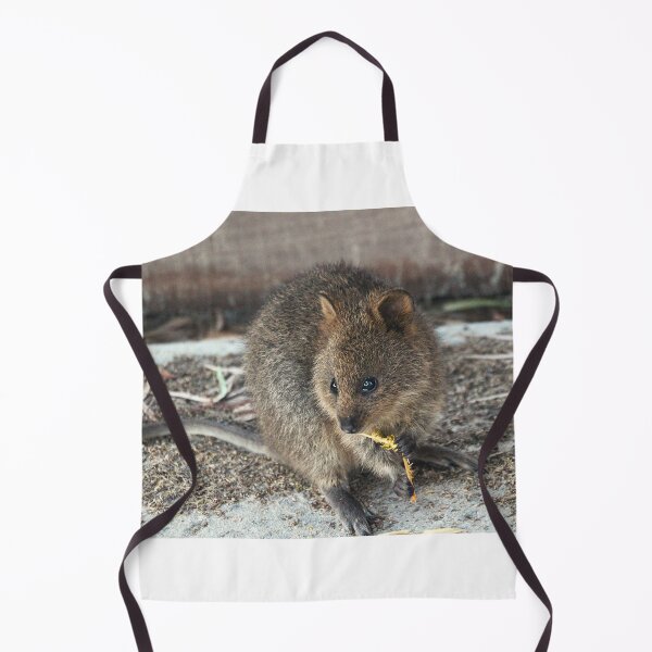 Item preview, Quokka Lunchtime designed and sold by Asoka.