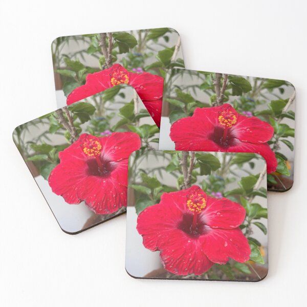 Item preview, Red Muvico Theaters Sparks designed and sold by Aninature.