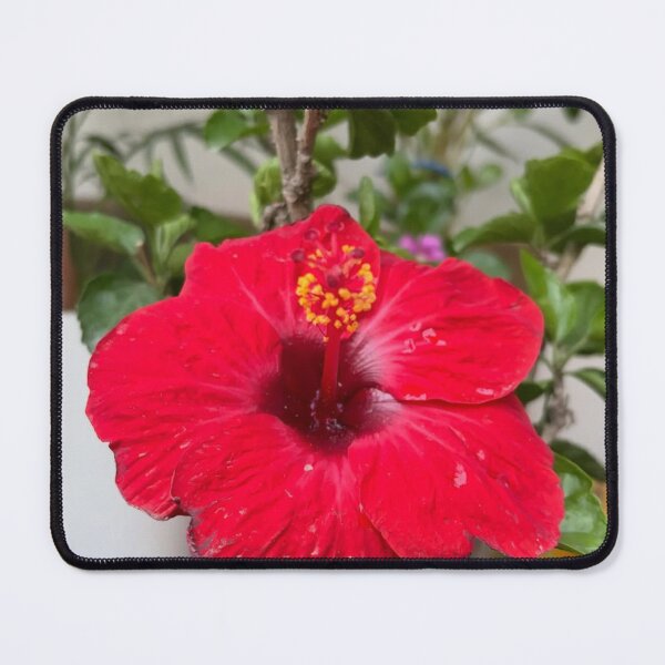 Item preview, Red Muvico Theaters Sparks designed and sold by Aninature.