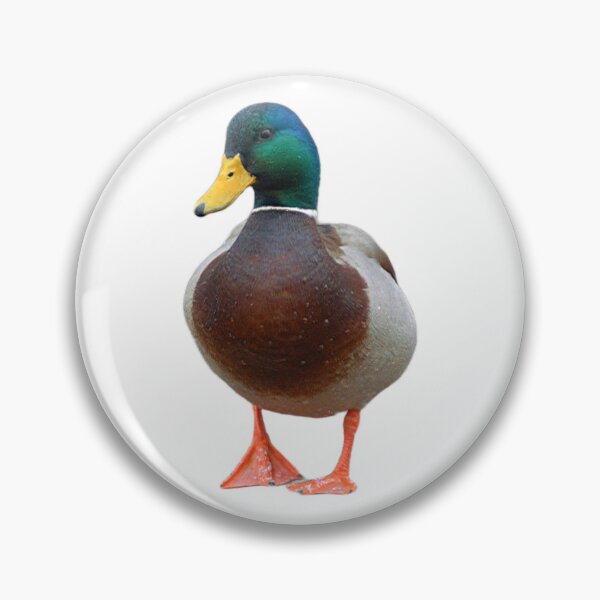 Item preview, Mallard Drake - Hi There designed and sold by naturetimes.